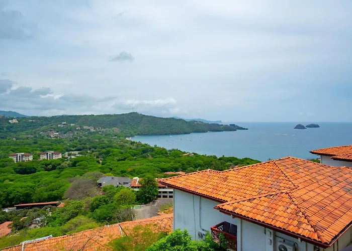 Paradise Views